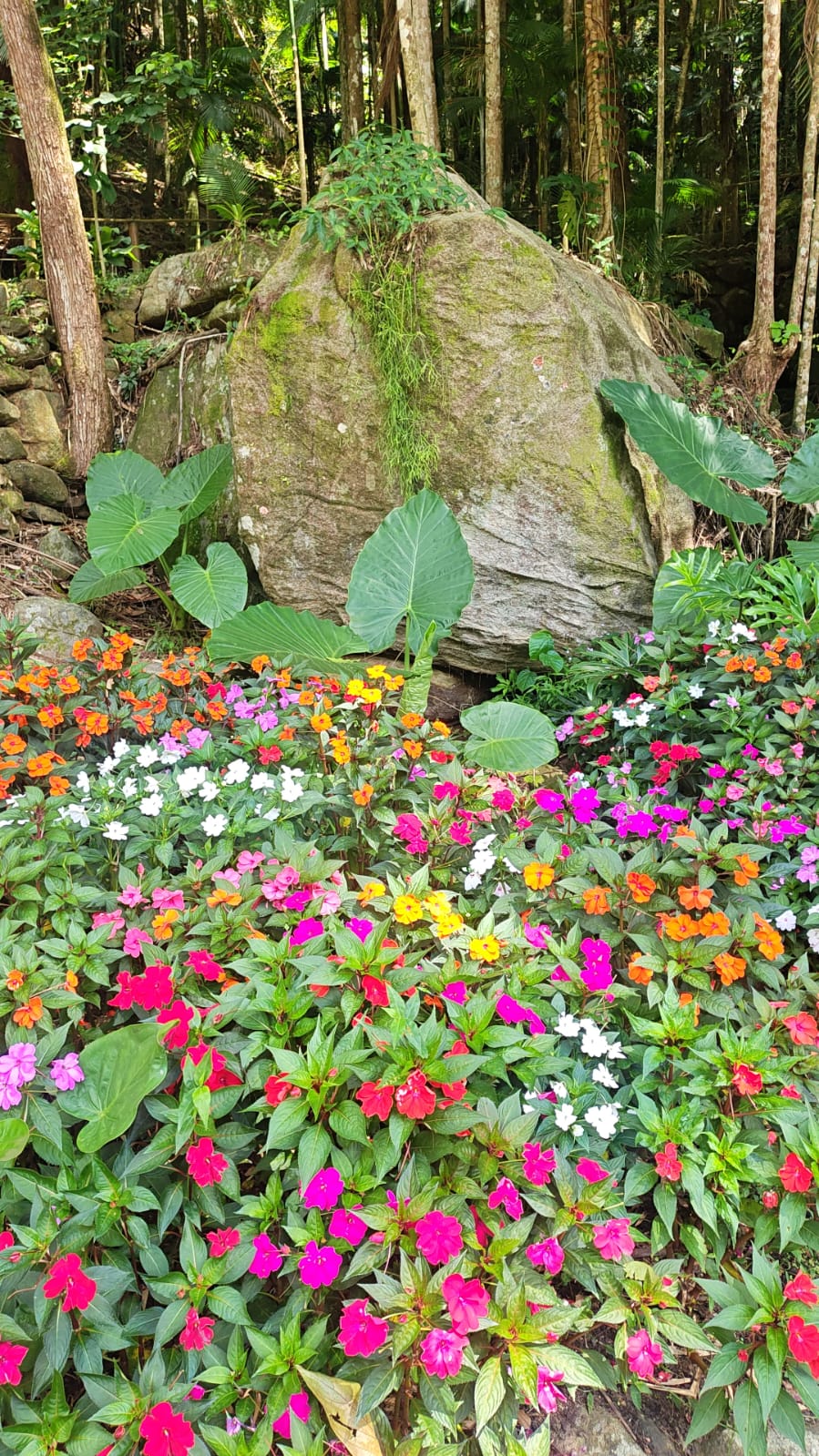 Foro Luiz Alves 2.jpeg