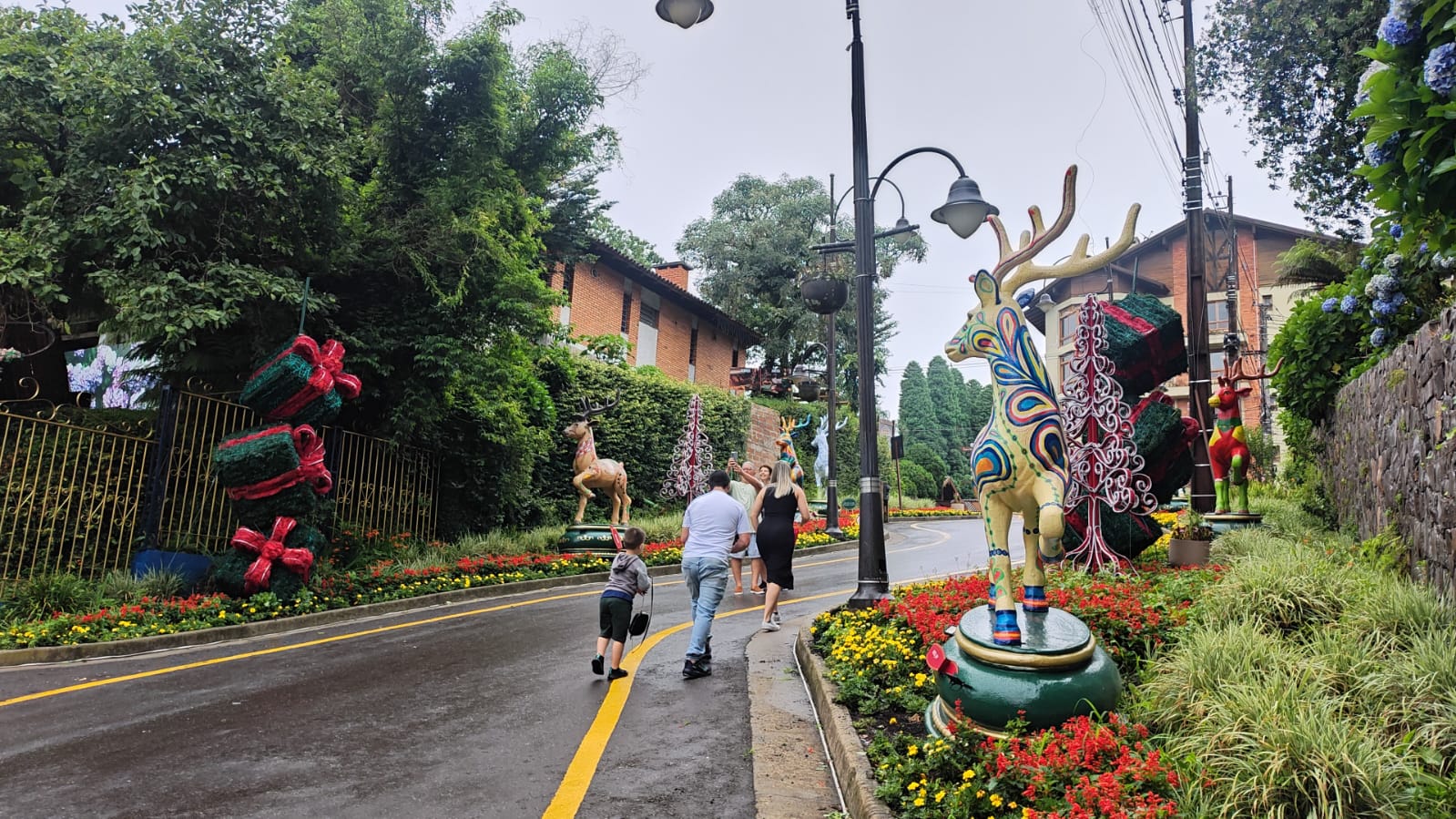 foto gramado 12.jpeg