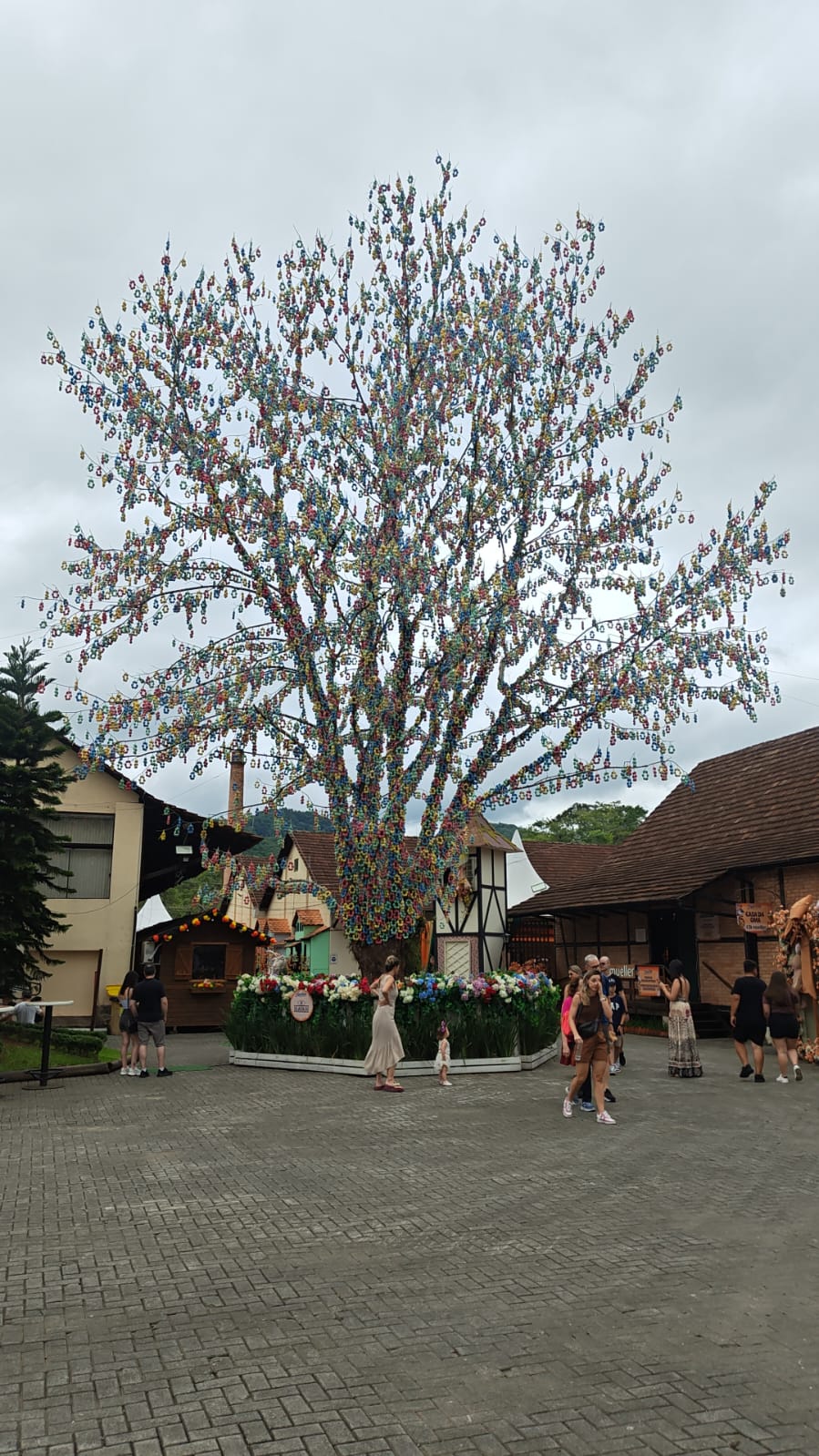 Foto Pomerode 14.jpeg