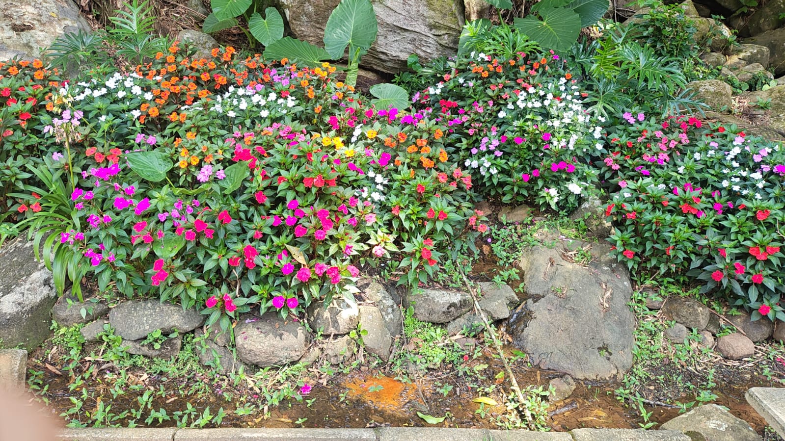 Foro Luiz Alves 4.jpeg