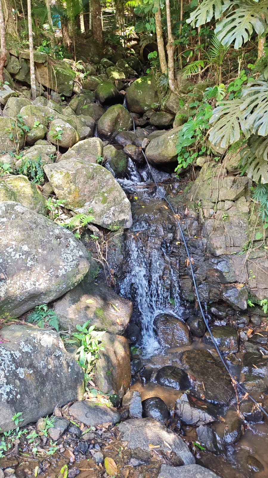 Foro Luiz Alves 3.jpeg