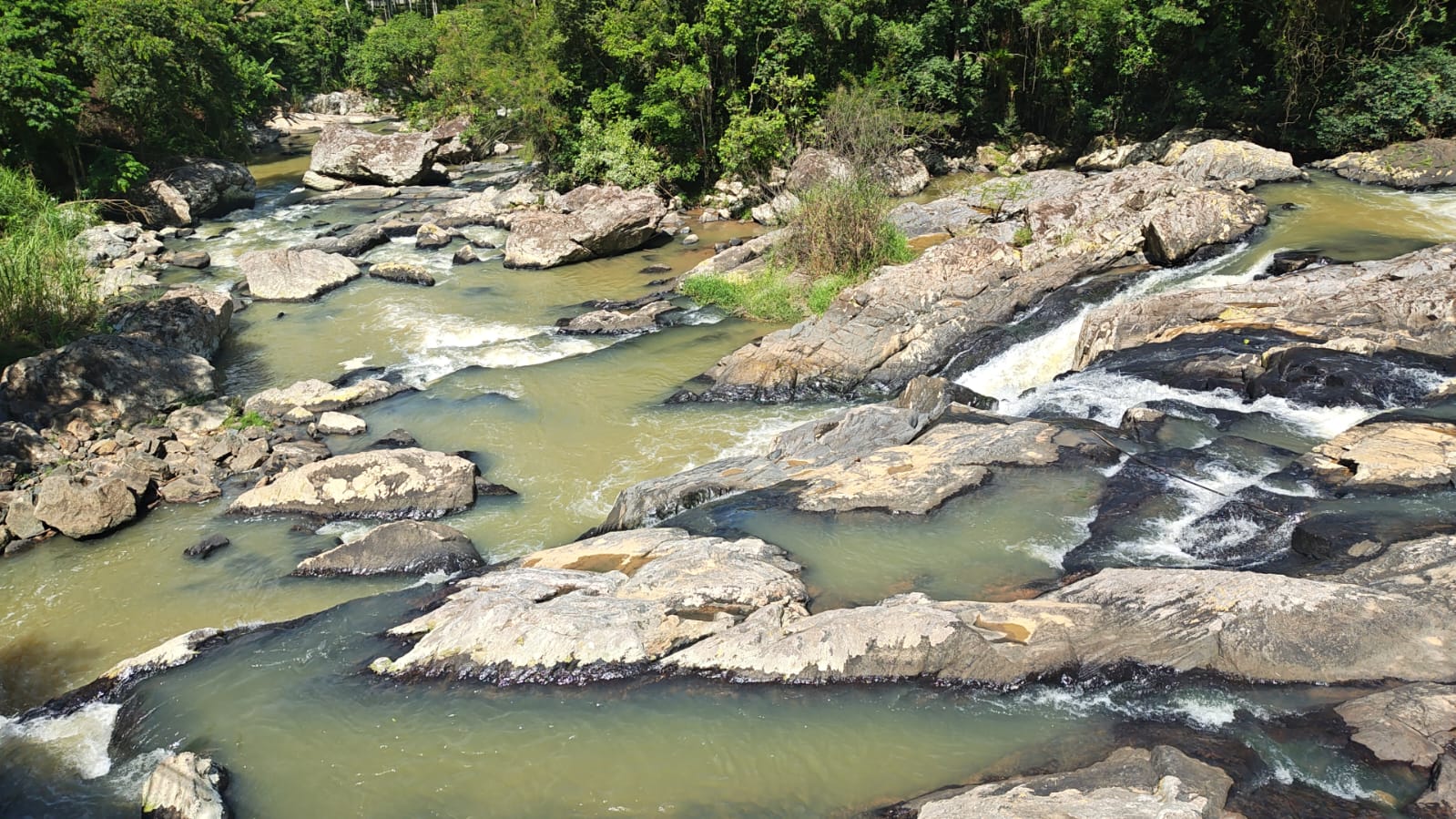 Foro Luiz Alves 7.jpeg
