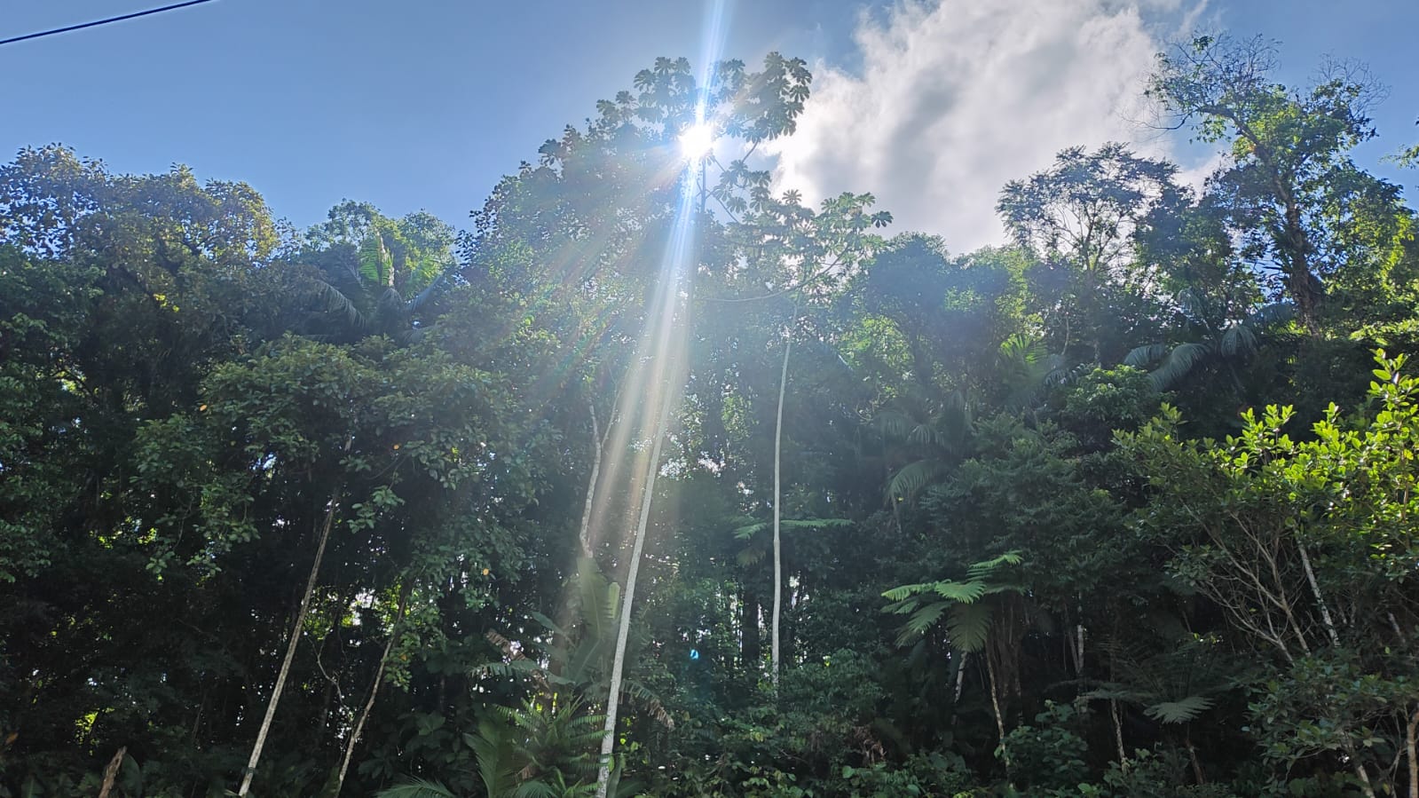 Foro Luiz Alves 8.jpeg