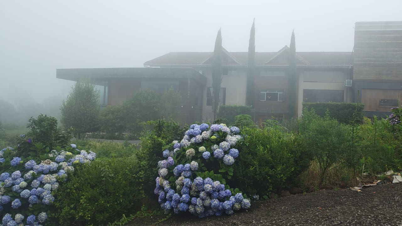 foto gramado 19.jpeg