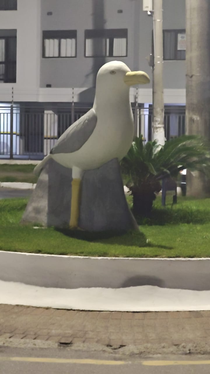 FLORIANOPOLIS 0911.jpg