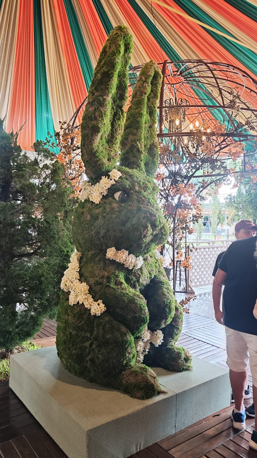 Foto Pomerode 17.jpeg